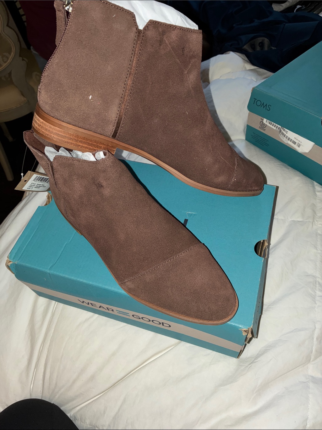 Toms Rylie